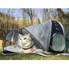 Expandable Cat Backpack, Space Capsule Transparent Pet Carrier for Small