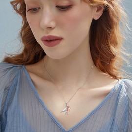 HUKKUN Robin Bird Necklace Sterling Silver Robin Bird Jewelry Gift for Women