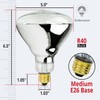 250 Watt Heat lamp Bulb for Bathroom R40 Incandescent Shower