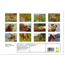 Kelly the Irish Terrier - gold inside and out (Monthly Wall Calendar 2025 11.7" x 16.5" (open)), CALVENDO 14 Month Calendar