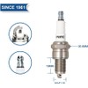 TORCH F6RTC Spark Plug Repalce for 995/WR6DC 7900/WR7DC, RN9YC RN10YC