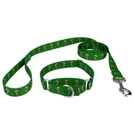 Country Brook Petz - Candy Cane Christmas Martingale Dog Collar and Leash Set- Christmas Collection with 11 Designs (5/8 Inch, Small)