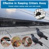 FUTRPOW Solar Panel Bird Guard,6inx150ft Critter Guard for Solar Panels,Black