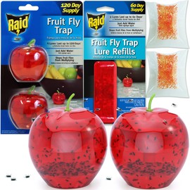 Fruit Fly Traps for Indoors by Raid | 2 Lures + 2 Refills | Effective Fruit Fly Killer & Gnat Traps for House Indoor Use | Easy to Use & Safe Food-Based Lure Fly Catcher