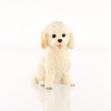 Conversation Concepts Cockapoo White Tiny One Figurine (White)