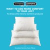 Xtreme Comforts 2-Pack Memory Foam Pillows Made in The USA