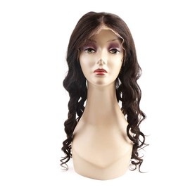 ELIHAIR Brazilan Human Hair Lace Front Wigs Loose Wave Style For Black Women African Americans Wigs Pre Plucked Hairline (Front Lace Wig, 16inch)
