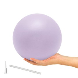 ElwynnLane 9 Inch Exercise Pilates Ball Mini Exercise Barre Ball for Yoga,Stability Exercise Training Gym Anti Burst and Slip Resistant Balls Physical Therapy Improves Balance