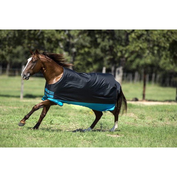 Horseware Mio Medium Turnout Blanket (69, Black/Turquoise)