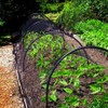 ZOPPER Garden & Pond Netting 2m x 4m - UV