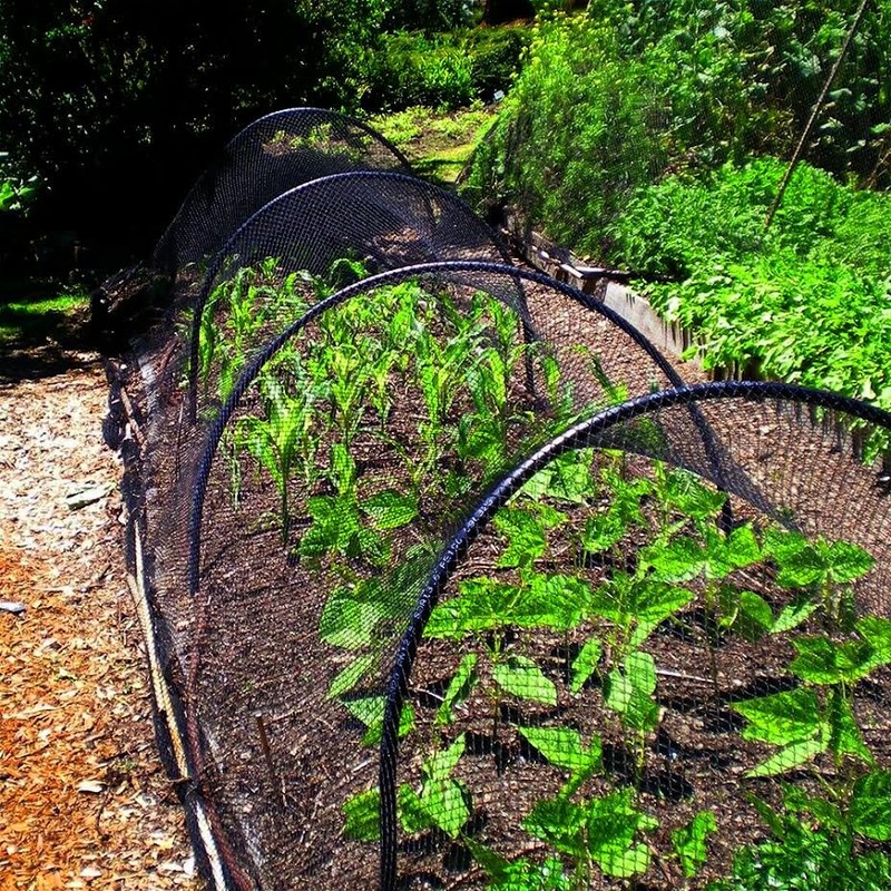 ZOPPER Garden & Pond Netting 2m x 4m - UV