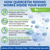 1000mg Quercetin - 200 Capsules | Immune Support, Antioxidant for