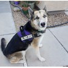 Doggie Stylz Blind Dog Harness No Pull No Escape Dog