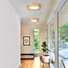 ZUYURT Dimmable Gold Flush Mount Ceiling Light Modern Ceiling Light