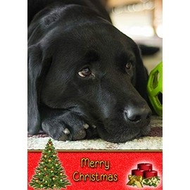 Black Labrador Dog Christmas Card 'Merry Christmas' - Special Animal Xmas Card for Him Her from Pets Kids