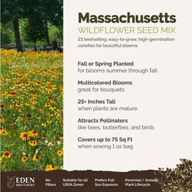 Eden Brothers Massachusetts Wildflower Mixed Seeds for Planting, 1 oz, 30,000+ Seeds with Catchfly, Sweet William | Attracts Pollinators, Plant in Spring or Fall, Zones