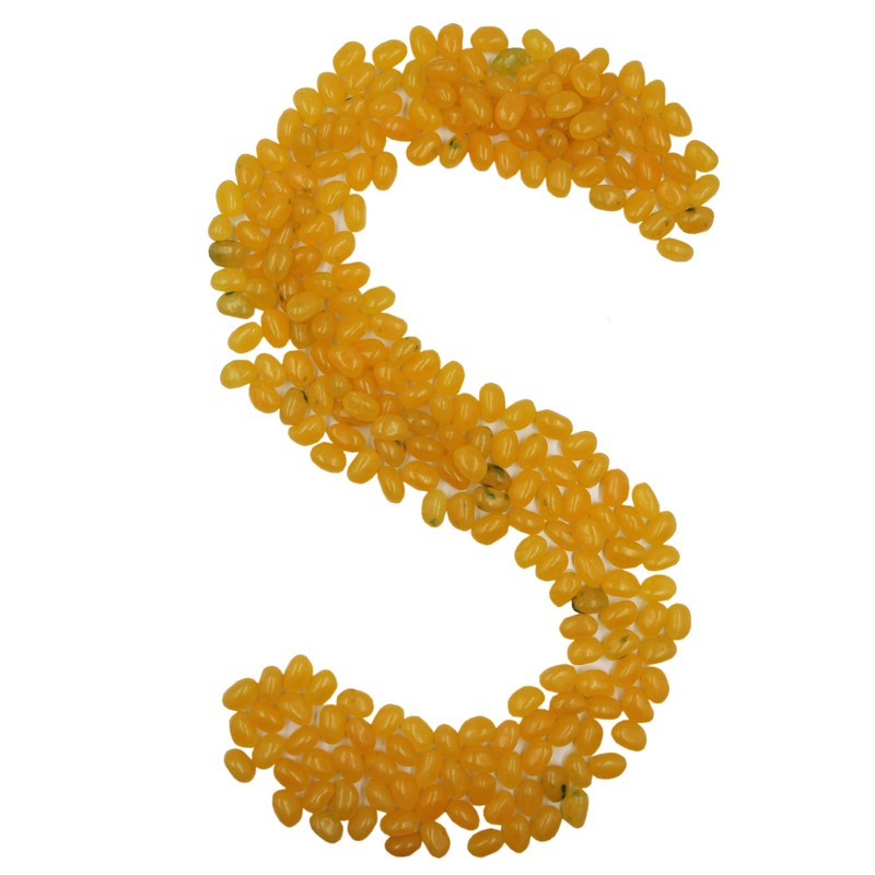 Smarty Stop Jelly Beans Every Flavor Candy (5 Pound (Pack