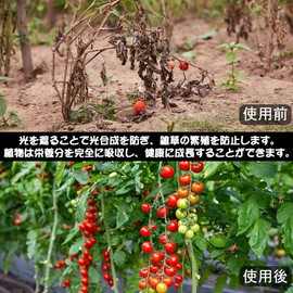 gomura Weed Prevention Sheet, 3.3 x 32.8 ft (1 x 10 m), Weed Prevention Sheet, Fixing Pin, Dust Sheet, 10 Years Durability, Thick, High Density, High Permeability, Heavy Duty, Weed Prevention, For