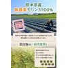 【医師・管理栄養士W監修】 熊本県産 無農薬 国産モリンガ100％ 無添加 モリンガ サプリ 60000mg/袋 240粒 30日分