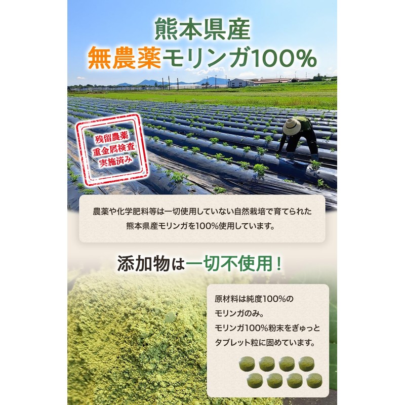 【医師・管理栄養士W監修】 熊本県産 無農薬 国産モリンガ100％ 無添加 モリンガ サプリ 60000mg/袋 240粒 30日分