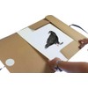 Kangaro A3 Kraft Drawing Folder with Ribbons