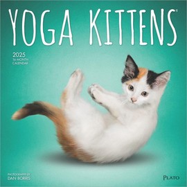 BrownTrout, Yoga Kittens Plato 2025 Wall Calendar