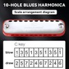 CONJURER Blues Harmonica for Kids Adult Beginners 10 Hole Diatonic