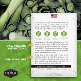 Giant Leek Seed for Planting - 5 Packets with Instructions to Plant and Grow Enormous Leeks in Your Home Vegetable Garden - Non-GMO Heirloom Variety - Survival Garden Seeds