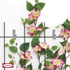 bellissa Trellis Spacers Stainless Steel Set of 4 with Dowels