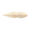 Berkley Gulp! Alive! Stonefly Fishing Soft Bait
