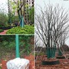 iBamso Tree Protection Film, Winter-Proof Tree Trunk Wrap Protector Guard,
