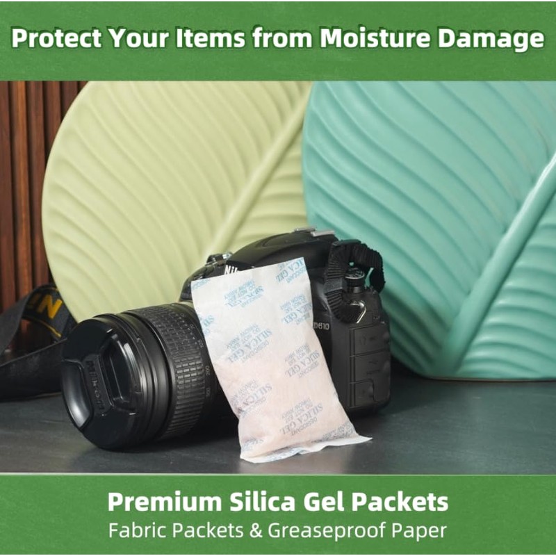 ROOMLINE 100 Gram (10 Packets) Silica Gel Packets, Desiccant Packs