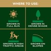 Scotts EZ Seed Patch & Repair for Sun and Shade