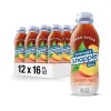 Snapple Zero Sugar Peach Tea, 16 fl oz recycled plastic
