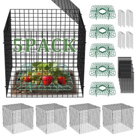5 Sets Upgraded Strawberry Plant Support,12'' x 12'' Sturdy Metal Wire Mesh Garden Plant Cages and Strawberry Planting Stand,Mesh Plant Cover Animals Barrier to Keep Rabbit Chicken Away from Plants