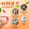 HEALOADING HMB and Leucine Gummies Supplement: HMB Supplements for Men