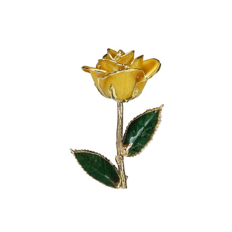 Allmygold Yellow Laquered 24k Gold Dipped Long Stem Genuine Rose