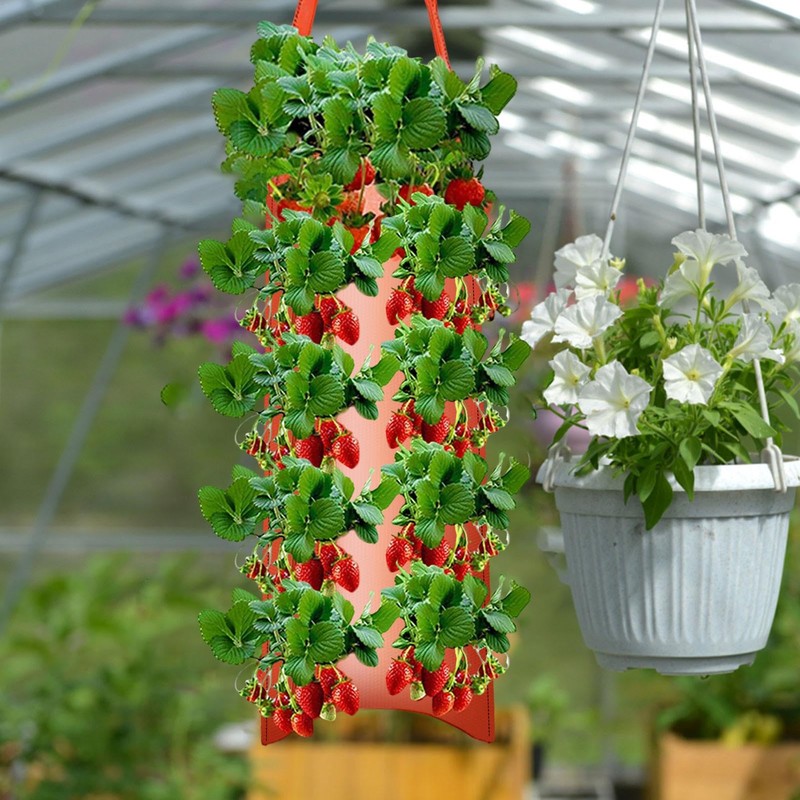 Strawberry Hanging Planter Upside Down,Tomato 4/8 Planting Holes Strawberry Grow