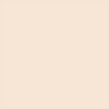 AP Beauty [에이피뷰티][여배우 PICK!] 프라임 리저브 리트리니티 메쉬 파운데이션 21N+