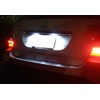 RZG 2x LED License Plate Light White Canbus for MB
