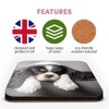 Great Single Coaster Square - Cavalier King Charles Spaniel Dog