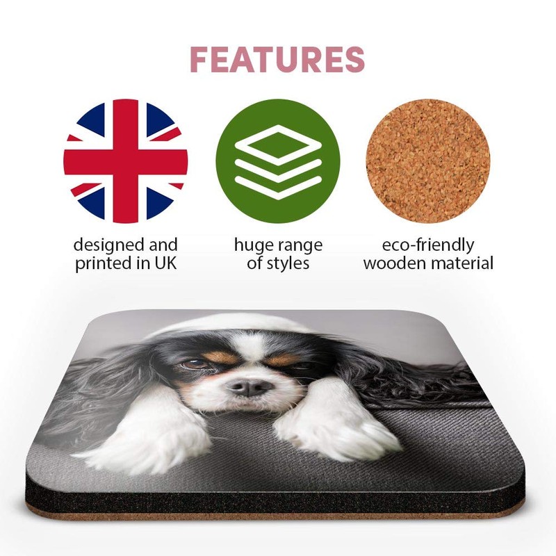 Great Single Coaster Square - Cavalier King Charles Spaniel Dog