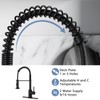 DJS Kitchen Faucets with Pull Down Sprayer Matte Black -