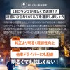 LEDLABO T20 LED 2,200 lm Turn Signal, Pinch Different, Amber,