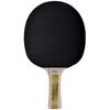 Donic-Schildkröt Legends 500 FSC Table Tennis Bat, AVS Handle Damping,