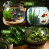 Geelin 5 Gallon Plastic Fish Tank Large Bowl Shatterproof with
