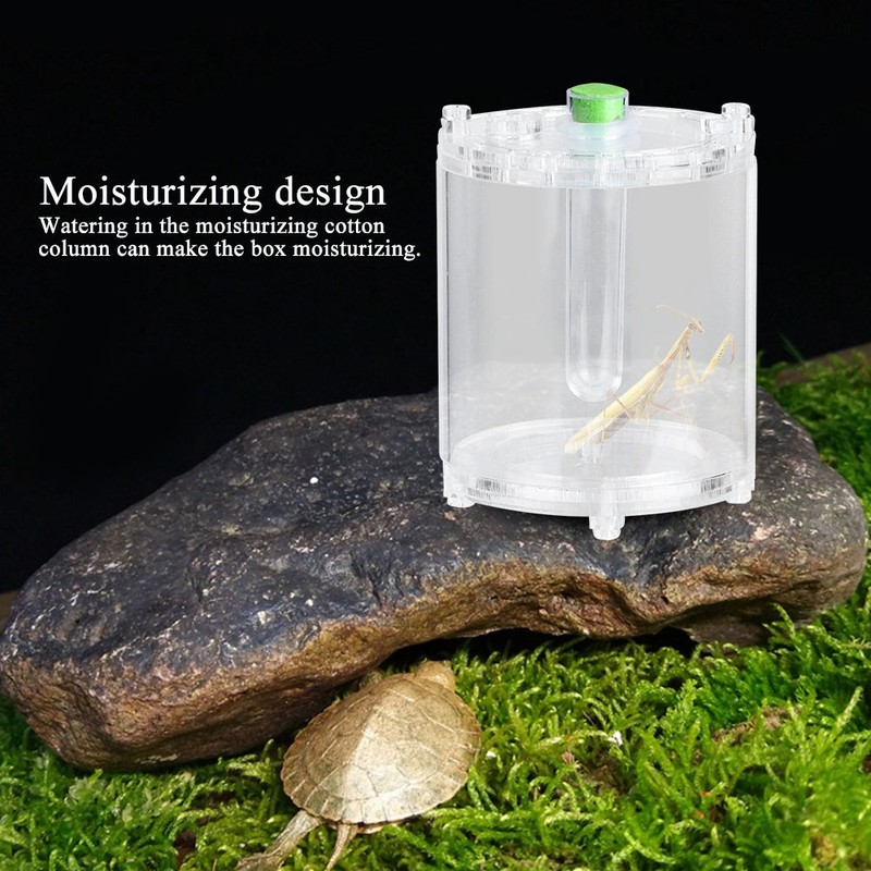Acrylic Transparent Reptiles Insects Feeding Living Box Mantis Beetle Cultivate