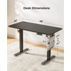 Marsail Electric Adjustable Height Standing Desk with Storage Bag, 48