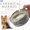 Paquete de 2 Platos para Perro y Gato de Cerámica