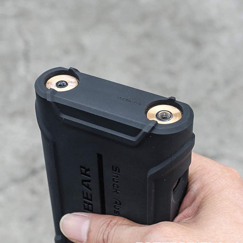 Fat Bear for Sony NW WM1A WM1Z Case, Rugged Shockproof